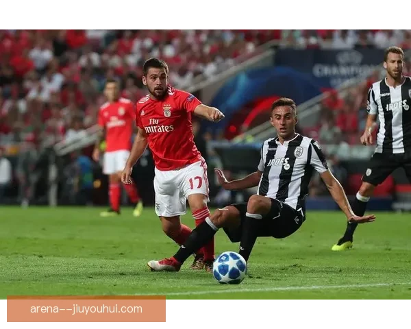 普阿多附加赛决赛绝杀球引燃全场观众激情